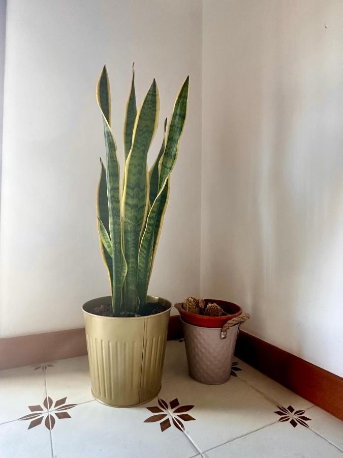 En Pleno Centro, Super Coqueto Y Perfecto Para 2, 马拉加 外观 照片